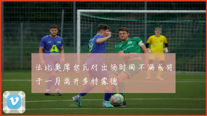 法比奥席尔瓦对出场时间不满或将于一月离开多特蒙德