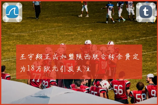 王宇翔正式加盟陕西联合转会费定为18万欧元引发关注
